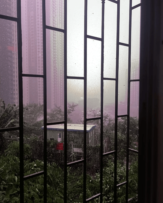 “山竹”后首个<strong></p>
<p>BTC交易APP下载</strong>！深圳全市暴雨红色预警生效！有人家里连续跳闸