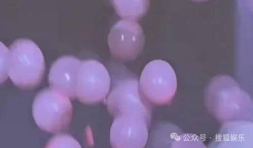 调侃“接受不了生女儿”被骂好几天<strong></p>
<p>BTC交易APP下载</strong>，他自曝差点因此家庭破裂......