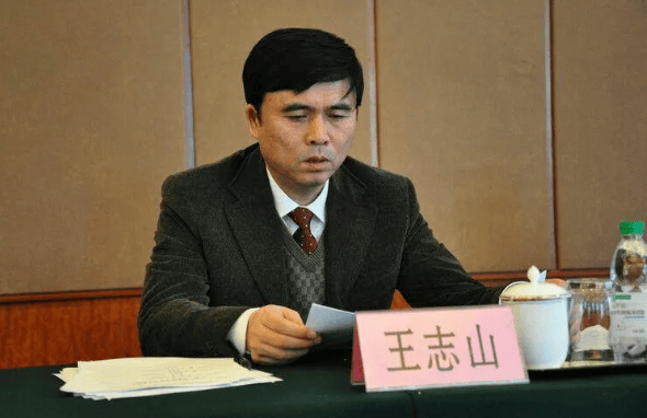 中央巡视期间<strong></p>
<p>泰达币交易APP下载</strong>，王志山主动投案