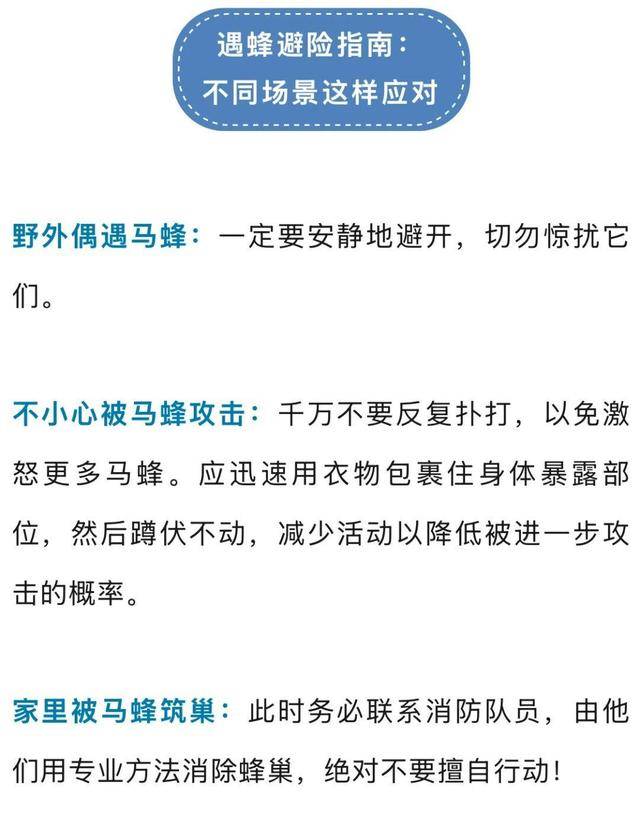 别招惹！广东一老人中招<strong></p>
<p>BCH交易APP下载</strong>，不幸去世