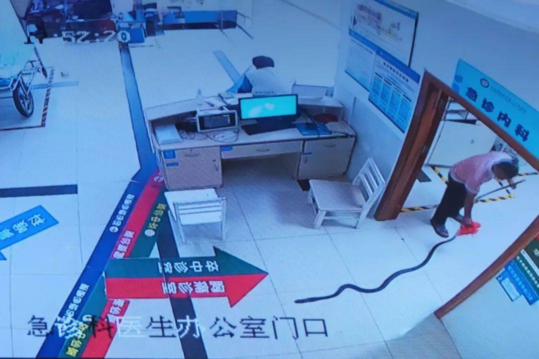 眼镜王蛇咬伤老人<strong></p>
<p>LTC交易APP下载</strong>，家属拖两米多长的“凶手”冲进医院！“拎蛇就医”可取吗？