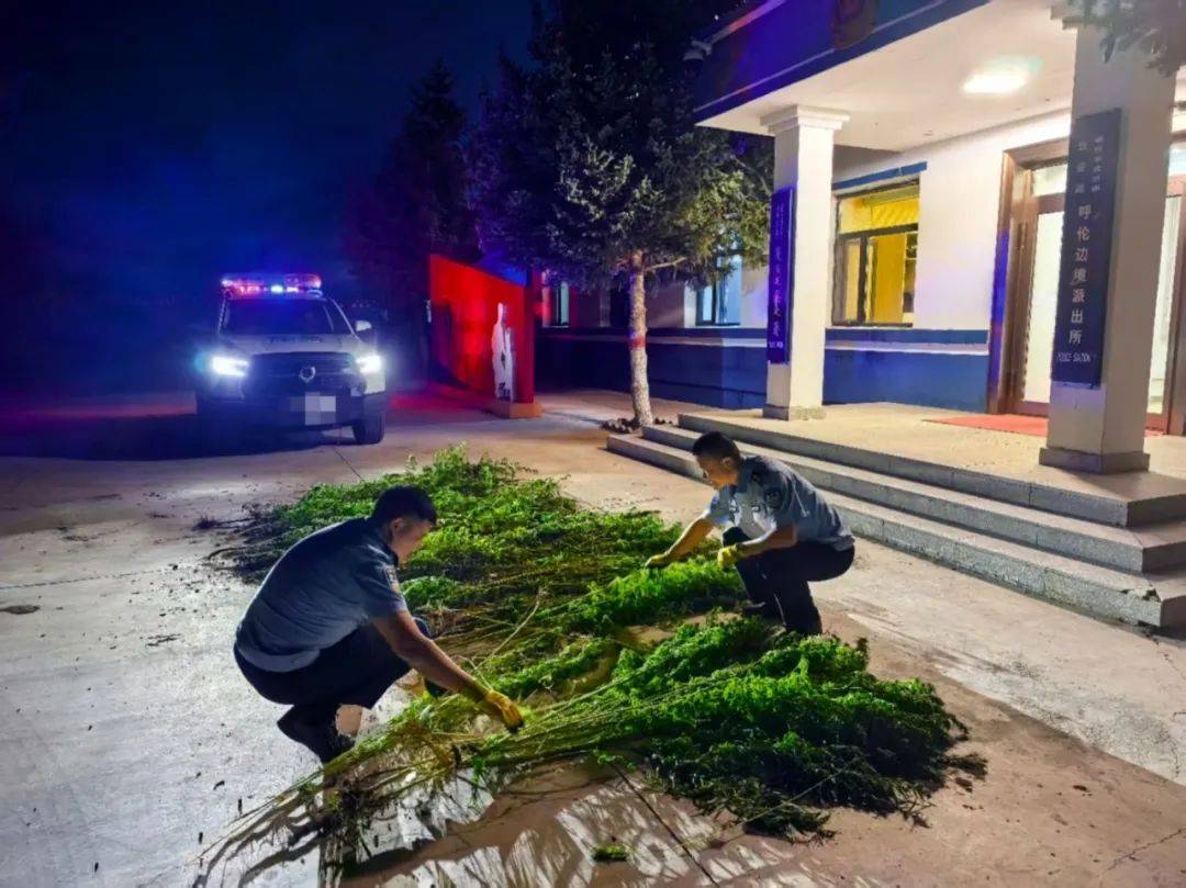 中国留学生因用手机拍照翻译遭拘押<strong></p>
<p>莱特币交易APP下载</strong>，中使馆紧急提醒！【新闻早知道】