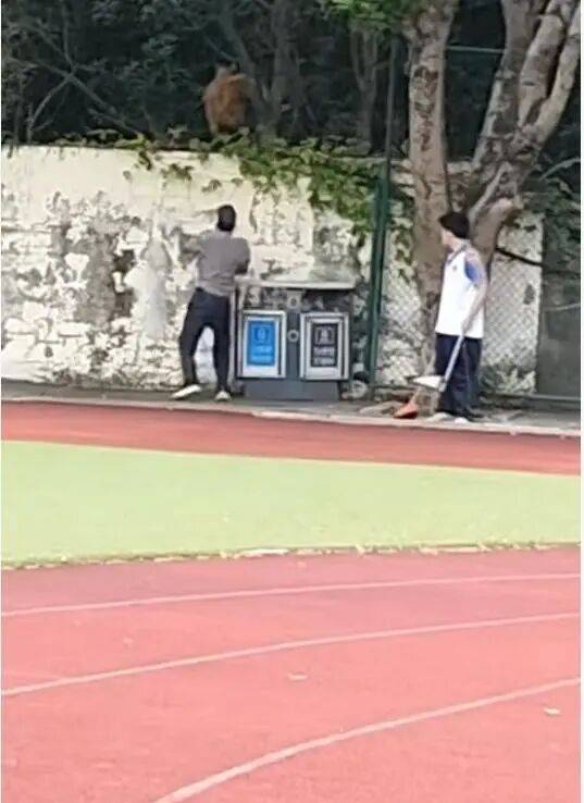 福建一公办职中保安被指当学生面<strong></p>
<p>比特币交易所交易平台</strong>，从3米高墙扔出流浪狗！福清教育局：将核实情况