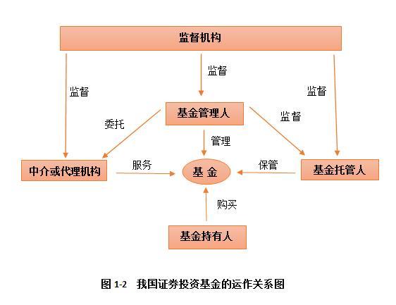 基金证券区别(基金证券有什么区别)